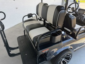 Arctic Grey Evolution Pro Plus Golf Cart Tidewater 06